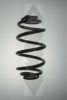 SPIDAN 86436 Coil Spring